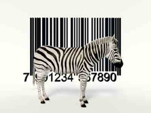 Avery 64-04 für Ihre ZPL2- Barcode-Ausgabe.