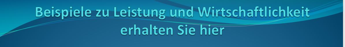 Beispiele zu Leistungen und Wirtschaftlichkeit
