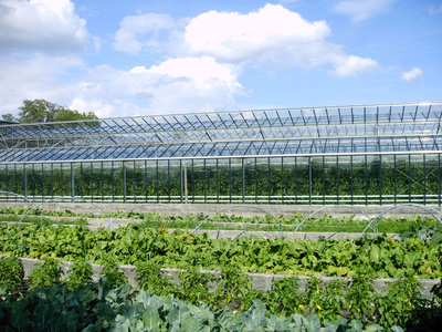 allwetterfeste Etiketten im Gartenbau