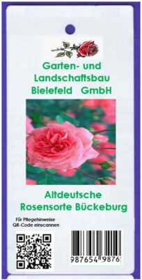 farbiges Logo sorgt für hohen Wiedererkennungswert